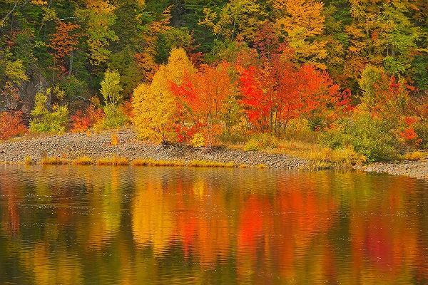 Canada-Nova Scotia Indian Brook and forest in autumn
